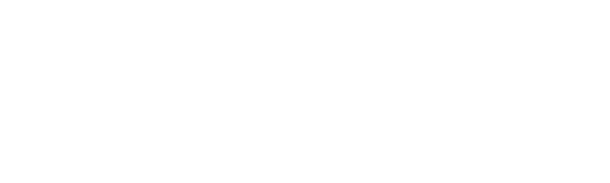 Wideland Tanzania Safaris